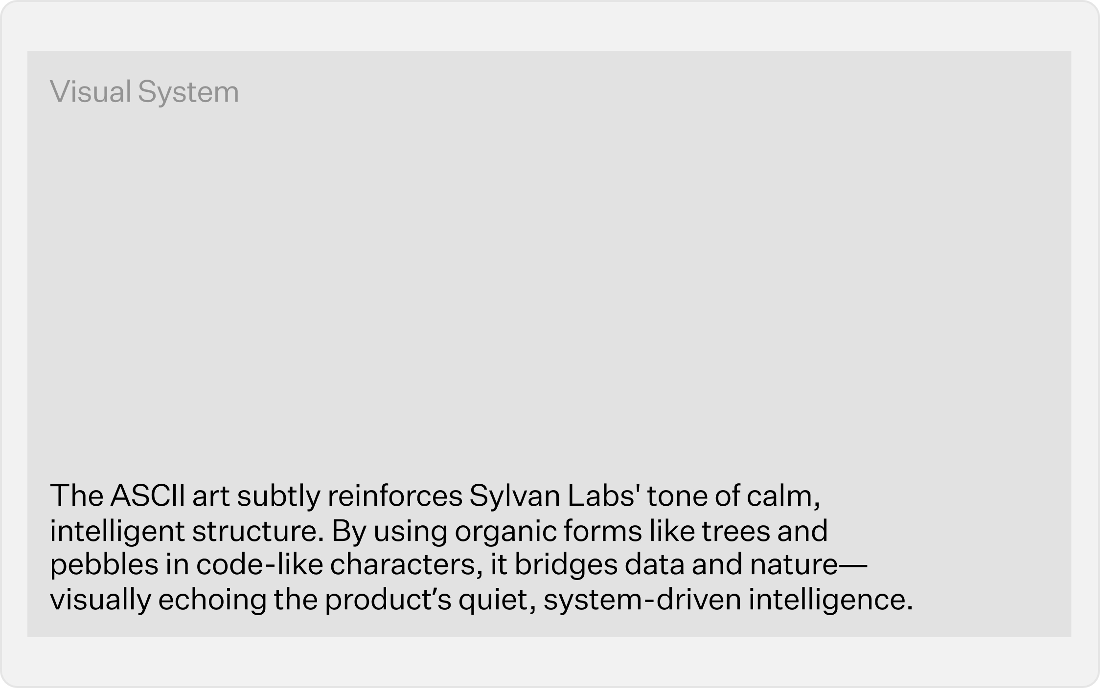Visual system rationale